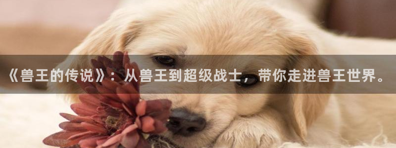 漫画之家为什么不能看了：《兽王的传说》：从兽王到超级战士，带你走进兽王世界。