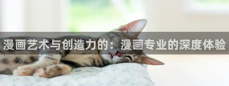 漫画之家免费漫画下载：漫画艺术与创造力的：漫画专业的深度体验