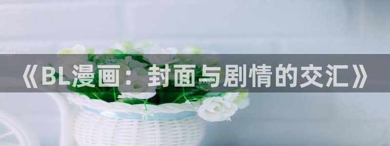 漫画之家1.6.6下载安装：《BL漫画：封面与剧情的交汇》