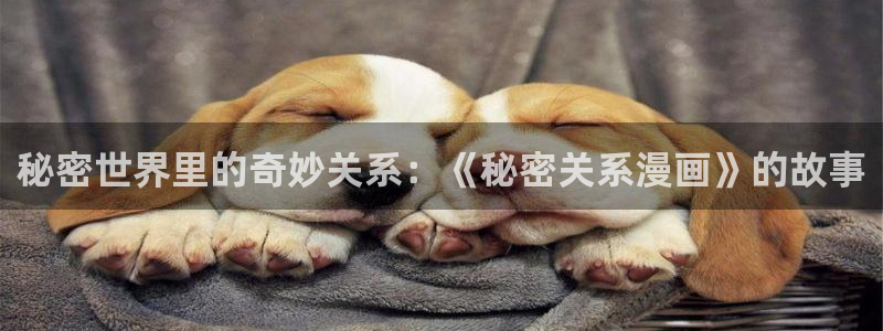 漫画之家吧：秘密世界里的奇妙关系：《秘密关系漫画》的故事