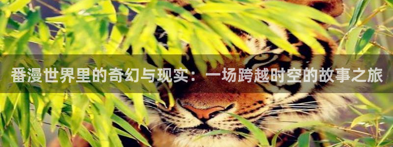 漫画之家福利漫画：番漫世界里的奇幻与现实：一场跨越时空的故事之旅