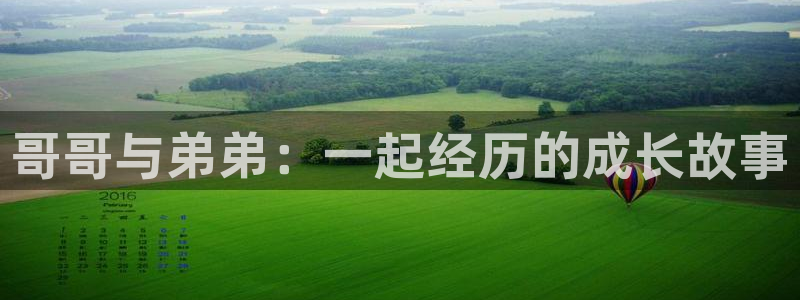 app漫画之家：哥哥与弟弟：一起经历的成长故事