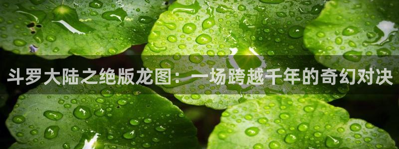 漫画之家官网下载安装：斗罗大陆之绝版龙图：一场跨越千年的奇幻对决