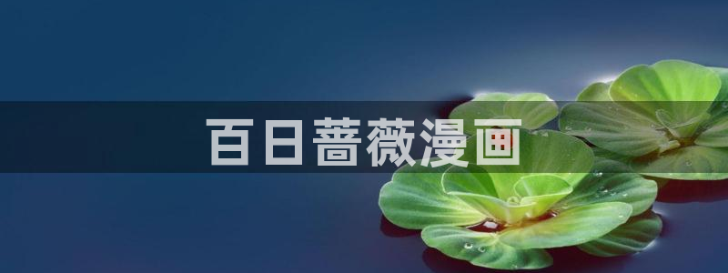 污漫漫画之家：百日蔷薇漫画