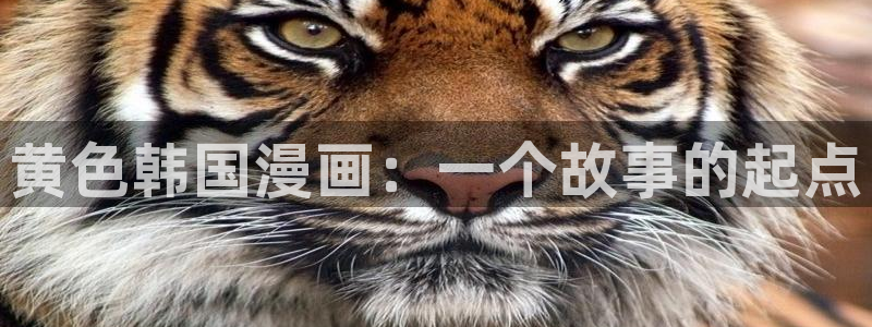 羞羞漫画之家庭教师