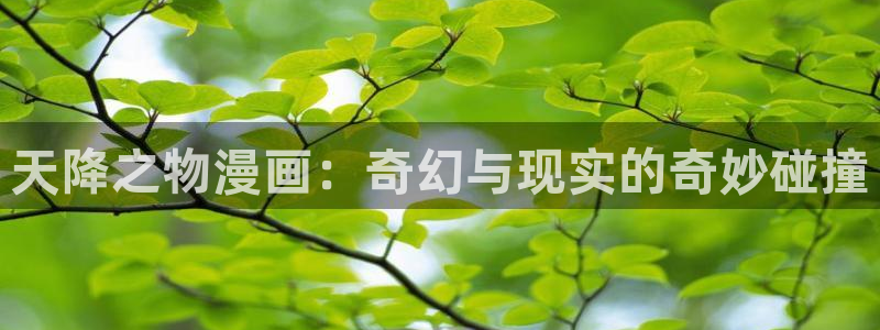 漫画之家韩漫