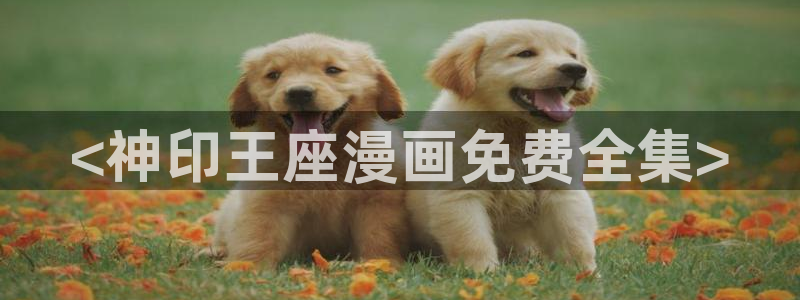 漫画之家官网_漫画之家：<神印王座漫画免费全集>