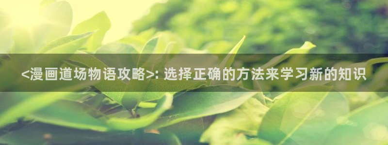 漫画之家官网_漫画之家韩漫在线阅读：<漫画道场物语攻略>: 选择正确的方法来学习新的知识