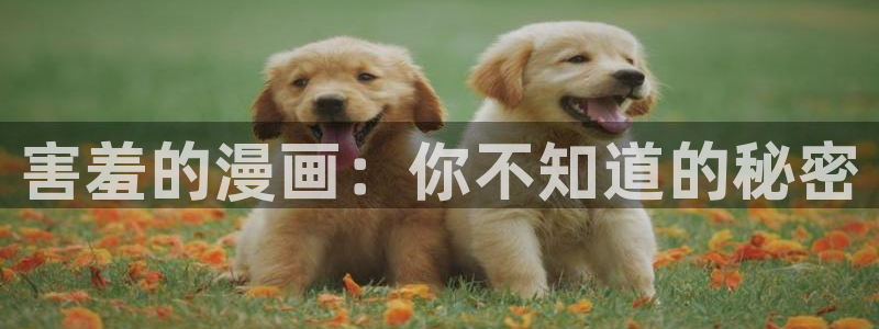 漫画之家