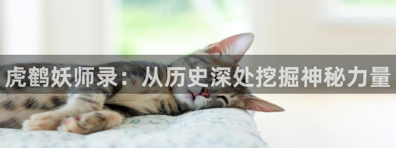 动漫漫画之家：虎鹤妖师录：从历史深处挖掘神秘力量
