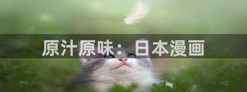 漫画之家在线下载：原汁原味：日本漫画