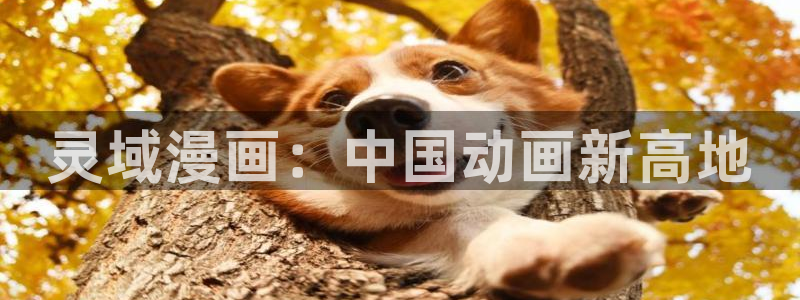免费漫画漫画之家：灵域漫画：中国动画新高地