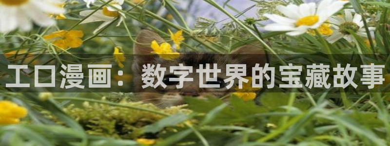漫画之家韩漫在线阅读：工口漫画：数字世界的宝藏故事