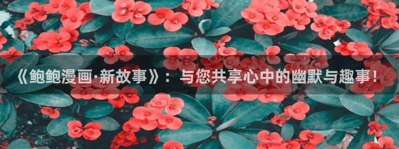 漫画之家官网_漫画之家韩漫：《鲍鲍漫画·新故事》：与您共享心中的幽默与趣事！