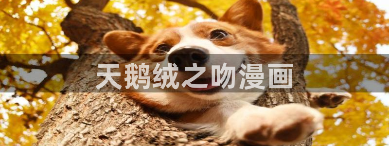 漫画之家社区版官网