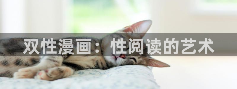 漫画之家网页版：双性漫画：性阅读的艺术