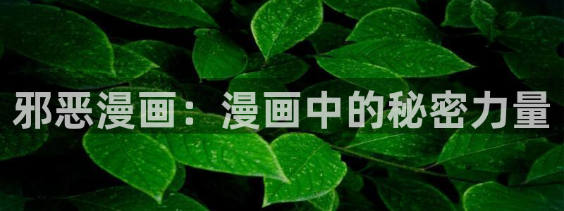 漫画之家韩漫在线阅读：邪恶漫画：漫画中的秘密力量